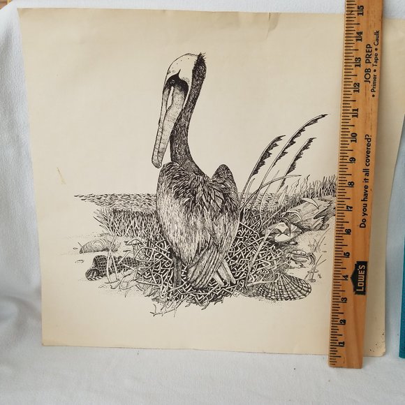 Mario Hernandez Print - Bird - Picture 3 of 4